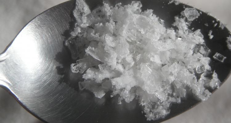 dinosaur ket