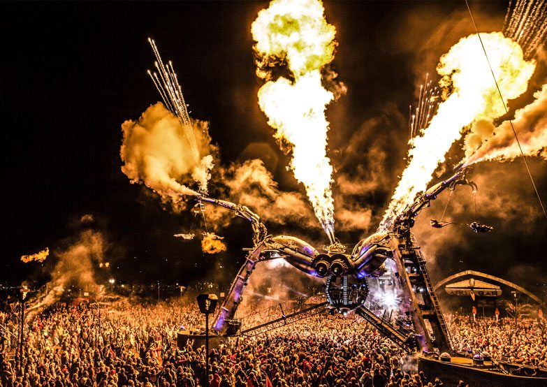 Giant spider thrown out of britol night club