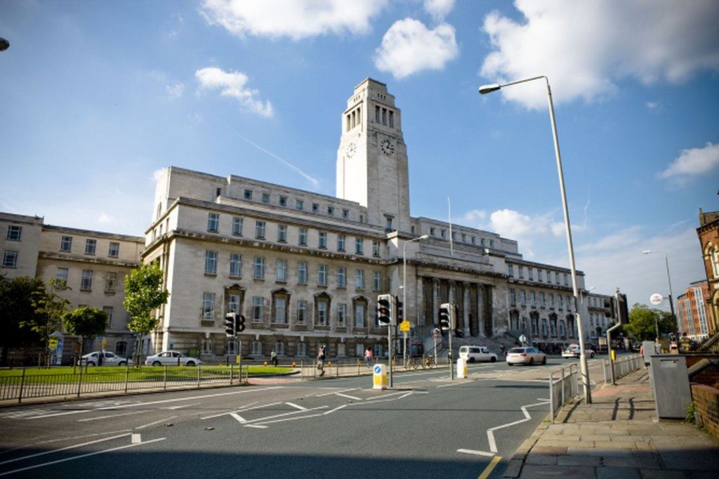 Mint Festival Banned