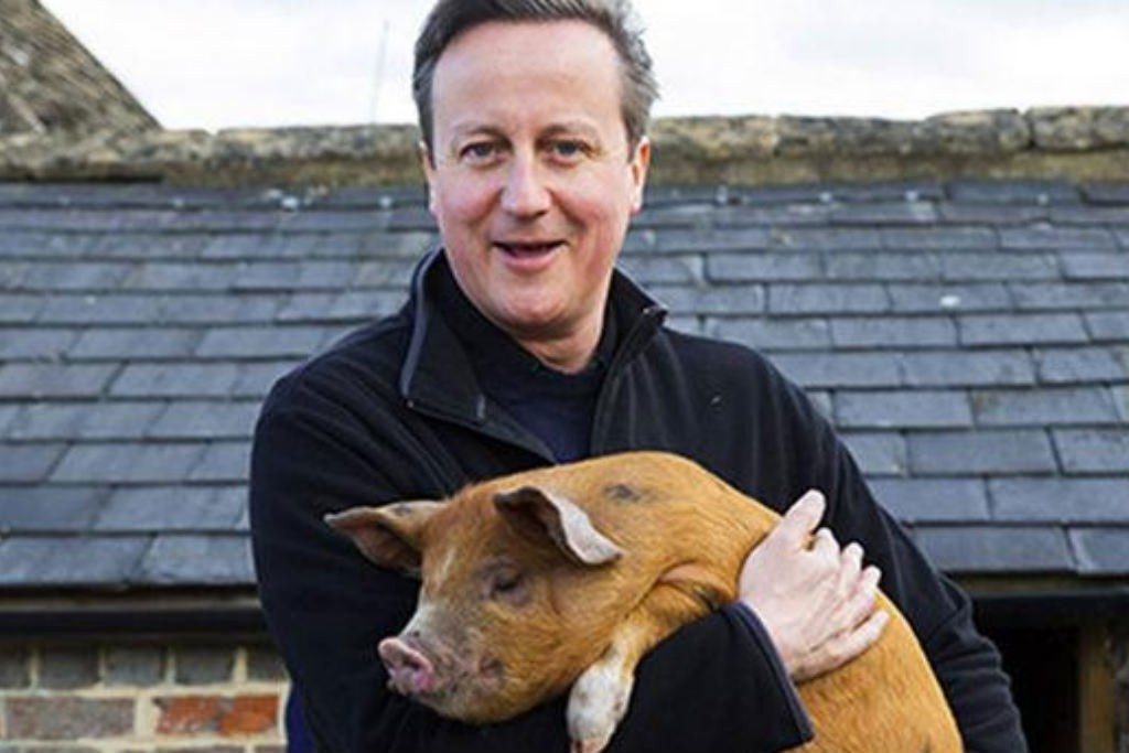 Piggate Cameron Penis Mouth