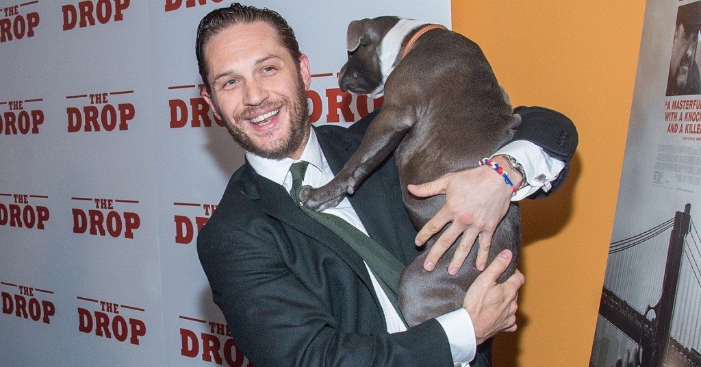 Lady Loses Eye Masturbating To Tom Hardy Playing With His Dog