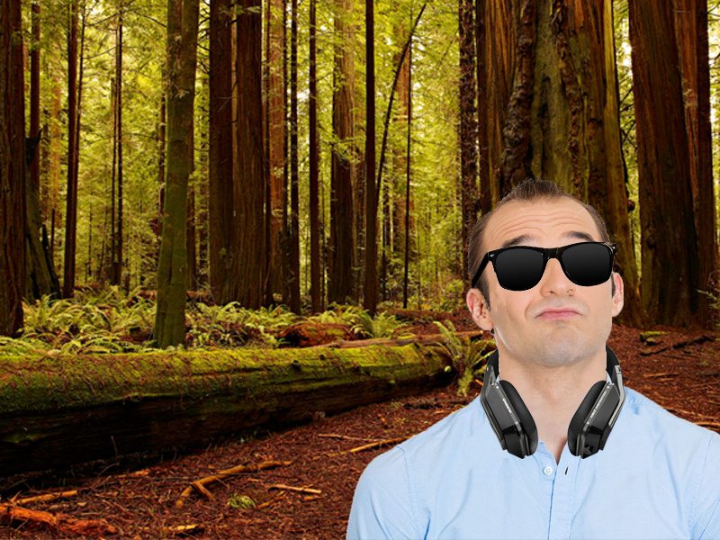 DJ Vinyl Tree Woods White label