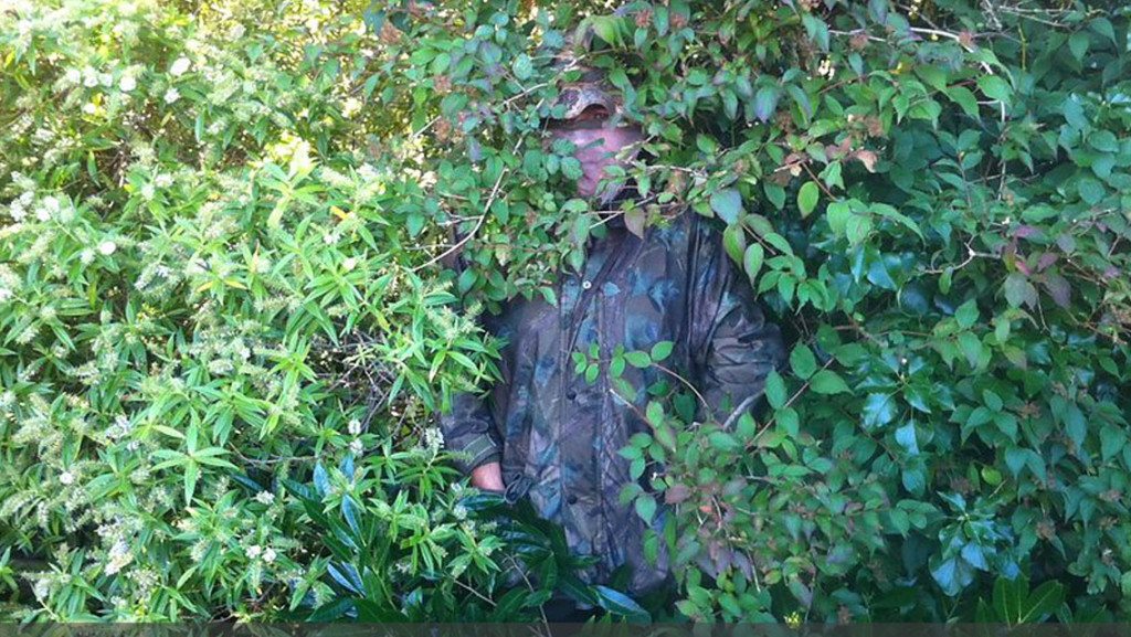 Drug Driving Ketamine Bush